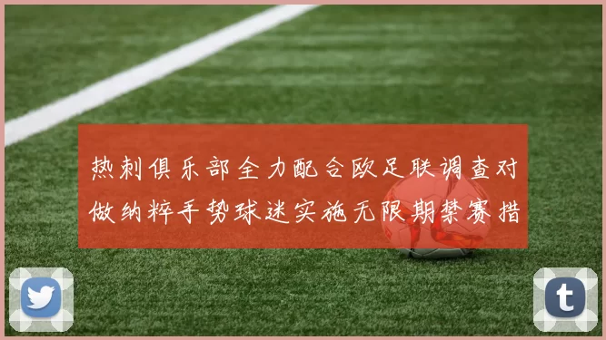 热刺俱乐部全力配合欧足联调查对做纳粹手势球迷实施无限期禁赛措施